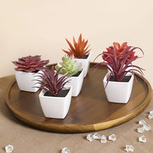 Mini suculenta artificial planta verde plástico Wwhite bacia, Home Window Sill, Restaurante Desktop Bookshelf Decoração, 6pcs por conjunto