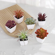 Mini suculenta artificial planta verde plástico Wwhite bacia, Home Window Sill, Restaurante Desktop Bookshelf Decoração, 6pcs por conjunto