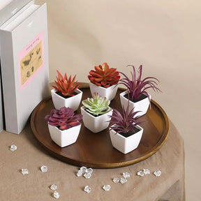 Mini suculenta artificial planta verde plástico Wwhite bacia, Home Window Sill, Restaurante Desktop Bookshelf Decoração, 6pcs por conjunto