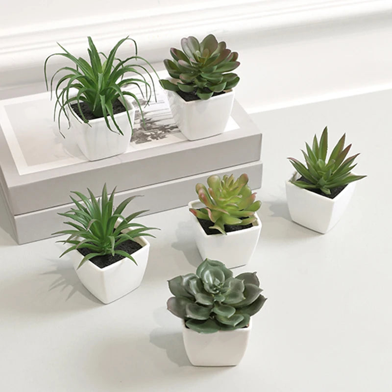 Mini suculenta artificial planta verde plástico Wwhite bacia, Home Window Sill, Restaurante Desktop Bookshelf Decoração, 6pcs por conjunto