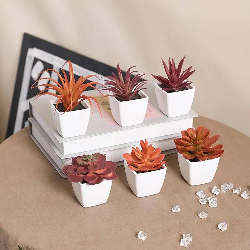 Mini suculenta artificial planta verde plástico Wwhite bacia, Home Window Sill, Restaurante Desktop Bookshelf Decoração, 6pcs por conjunto