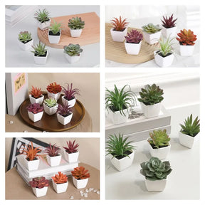 Mini suculenta artificial planta verde plástico Wwhite bacia, Home Window Sill, Restaurante Desktop Bookshelf Decoração, 6pcs por conjunto