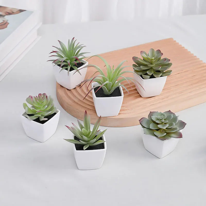 Mini suculenta artificial planta verde plástico Wwhite bacia, Home Window Sill, Restaurante Desktop Bookshelf Decoração, 6pcs por conjunto