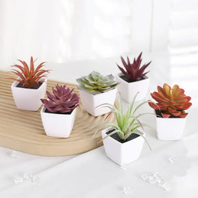 Mini suculenta artificial planta verde plástico Wwhite bacia, Home Window Sill, Restaurante Desktop Bookshelf Decoração, 6pcs por conjunto